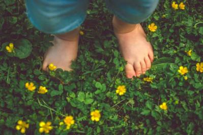 Istockphoto 1141403000 612x612